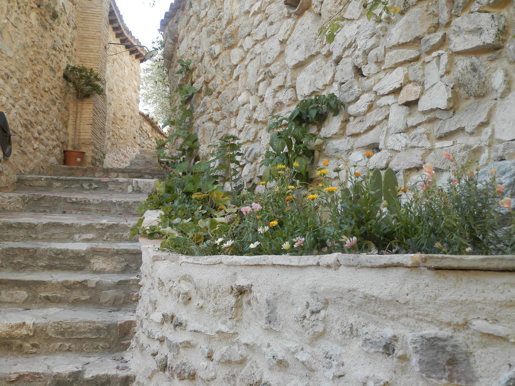 Отель Residenza Di Paese Castello Del Poggio Ферентилло Экстерьер фото