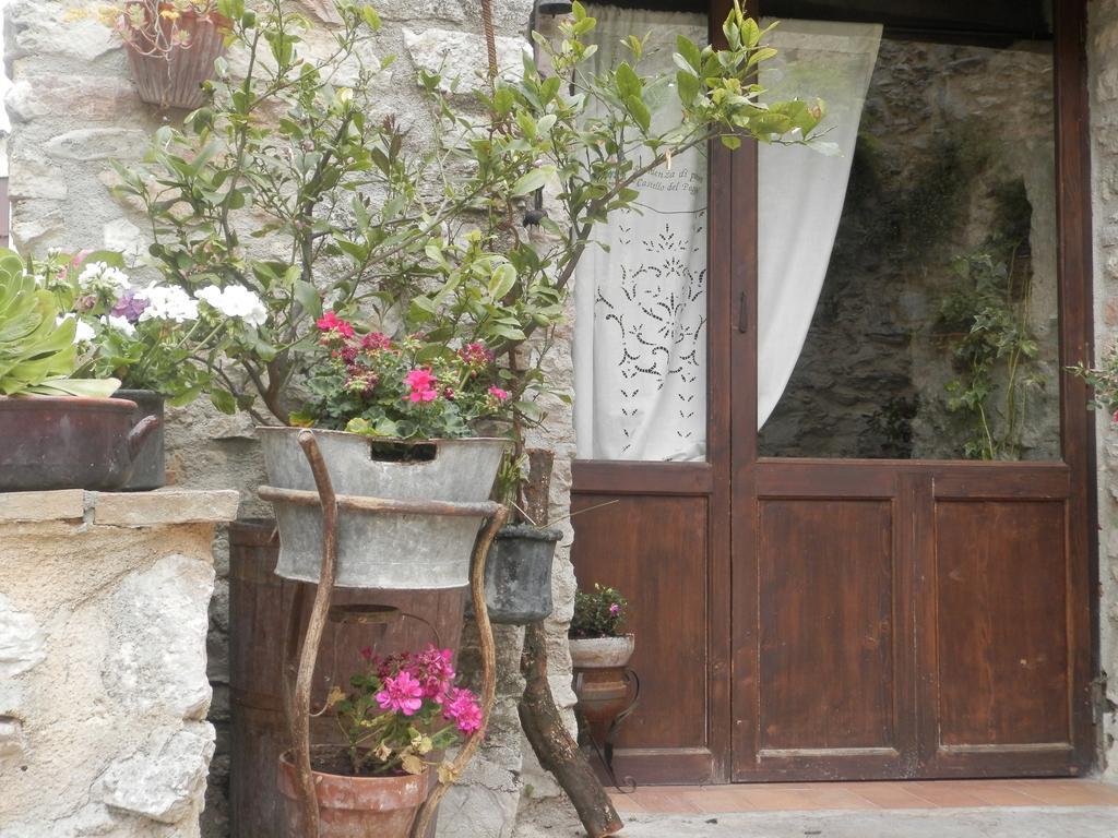 Отель Residenza Di Paese Castello Del Poggio Ферентилло Экстерьер фото